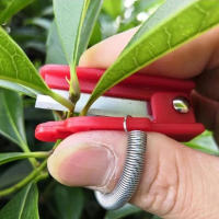 Herramienta De Recogida De Verduras Y Frutas Herramienta De Separación De Verduras Cuchillo De Tapa Para Jardín Y Granjas - details 4