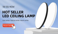Lámpara De Techo LED Mini Pequeña 220V Luz De Piso Para Sala Dormitorio Cocina Instalación En Superficie Downlight Spot Light - details 0
