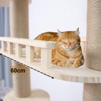 Cature, Torre para Gatos de Lujo, Árbol Rascador con Múltiples Plataformas y Hamaca, Color Beige, 80*40*235~247cm - details 3