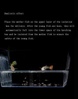 Caja De Acuario Tropico Caja De Cría De Pez Transparente Plástico Suministros De Acuario - details 3