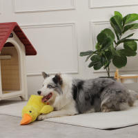 Juguete De Dormir Para Perros HOOPET Con Silbido Y Aroma a Pato Juguetón Para Pequeños Medianos Y Grandes Interactivo Para Entrenamiento De Mascotas Accesorios Para Perros - details 4
