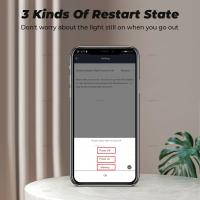 Interruptor Inteligente 16A Mini Wifi/Zigbee Control Remoto 2-Maneras Compatible Con Alexa Google Home Timer Integrado - details 6