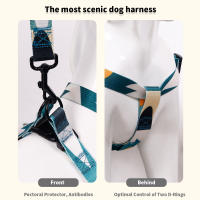 Juego De 3 Piezas Para Perros Abstracto Correa Y Correa De Anzuelo Con Arnes De Cuello En Nylon Para Caminar - details 4
