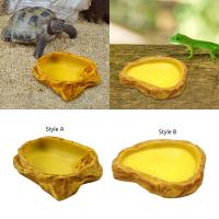 Bol De Agua Para Reptiles Resina Terrario Tazón De Alimento Para Sapo Tortuga Chamaeleon Dragón Barbudo Decoración De Tanque - details 2