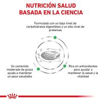 Royal Canin Pienso Dietético Diabetic para Gato 3.5Kg - details 2