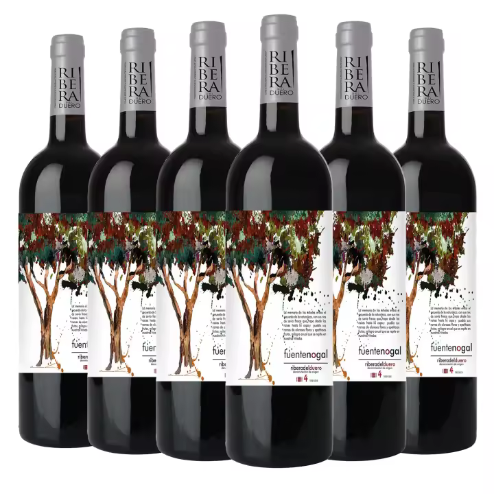 ARTE SABOR Caja de 6 botellas de vino Fuentenogal Roble. Ribera del Duero, crianza de 4 meses en barrica de roble americano. Vendimia del 2023. 75cl con 14,5% vol. 7x7x32 Cm. - 1