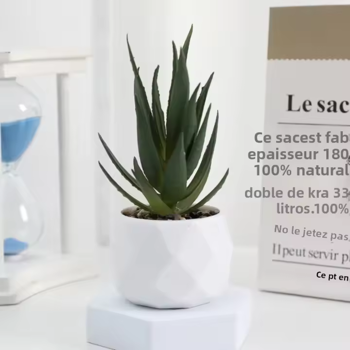 Evergreen Artificial Suculentas Simulación De Plantas Falsas Pequeñas En Macetas Cactus Bonsái Para El Hogar Material Plástico - 1