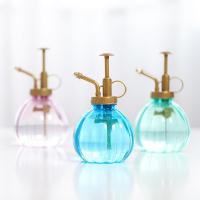 Botella De Rociador De 350ML Para Riego De Plantas Y Suculentas Herramienta Small Garden Metálica Para Jardín Y Suministros - details 6