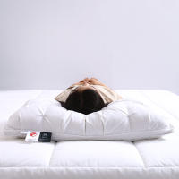 Almohada De Pluma De Ganso 95% Para Hotel 5 Estrellas Y Hogar Cubierta De Algodón Puro 3D Pan De Dormir Para Adultos 48*74cm - details 1