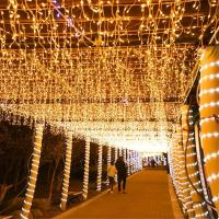 Guirnalda De Navidad LED Cortina De Lámparas De Hielo Cadena De Luces LED Para Exterior Jardín Calle Decoración 4x0.6M Instalación Auto Contenida - details 6