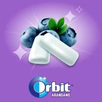 Orbit Chicle sabor Arándano Sin Azúcar 30 ud (420g) - details 1