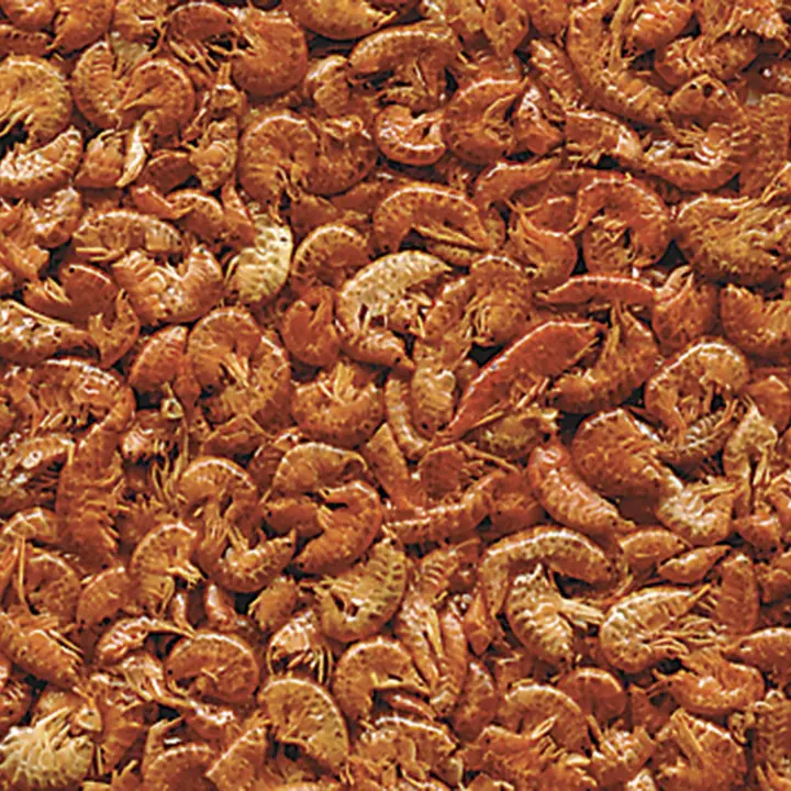 Alimento GAMMARUS de DAJANA 1000 ml, 125 gr A granel. - 1