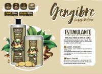 PACK PROMOCIONAL DONA FLORA JENGIBRE ,CHAMPU 1000 ML , MASCARILLA 1000 ML - details 0