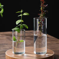 Vaso De Flor De Vidrio Transparente Pequeño Moderno Para Centro De Mesa Bodas Oficinas Y Hogar Vaso Cilíndrico Para Flores - details 2