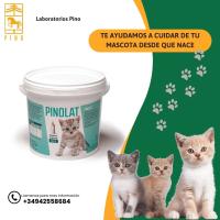 PINOLAT leche en polvo para gatos de Laboratorios Pino. Paquete de 4 sobres x 20 gr + biberón + cacillo medidor - details 2