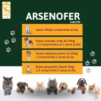 Arsenofer, calcio y fósforo para perros y gatos de Laboratorios Pino para garantizar su crecimiento armónico. - details 1