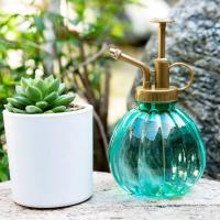 Botella De Rociador De 350ML Para Riego De Plantas Y Suculentas Herramienta Small Garden Metálica Para Jardín Y Suministros - details 5