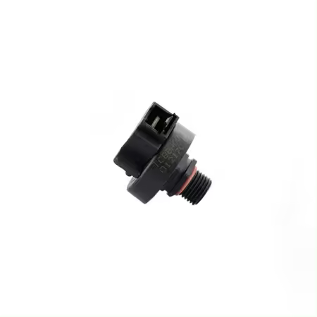CAPTOR PRESIÓN CALDERA COMPATIBLE CON CALDERA LASIAN DK-30 BIOSELF ACTIVA PLUS 30 - 1