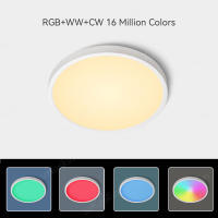 Lámpara De Techo WiFi LED Moderna Nórdica Con Luz Redonda Inteligente Dimmable RGB+CW+WW Compatible Con Alexa Google Iluminación Interior - details 4