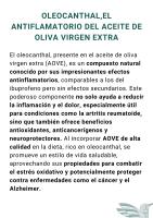 Renacer - Aceite de Oliva Virgen Extra Ecológico - Pack de 2 Latas de 3 Litros - details 0