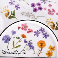 Set de 160 Pegatinas Decorativas Transparentes de Flores y Plantas – Stickers Creativos para Collage, Scrapbooking, Cuadernos, Botellas de Cristal y Manualidades – Sello de Copos con Gran Capacidad - details 5