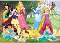 Educa - Puzzle de 500 Piezas para Adultos | Princesas Disney. Incluye Pegamento Fix Puzzle. Medida una Vez montado: 46 x 34 cm. A Partir de 11 años - details 0