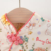 Vestido De Verano Para Bebés Niñas Estilo Cheongsam Con Patrón De Rabia Y Flores Manga Corta Princesa Dulce Vestido De Cumpleaños Parte - details 3