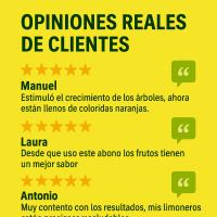 FERTIBONO Abono Cítricos Premium para Limonero y Naranjos, 20-5-11, (2Kg), con Hierro, Calcio, Azufre, Magnesio, y Manganeso - Evita Amarillo en Hojas, Corrector de Carencias Múltiples - details 2