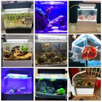 Acuario De Mesa 1.5L Mini Para Betta Peces Con Filtro Y Bomba De Aire USB Luz LED Decoración Marina Sin Contener Químicos Originales En China - details 8