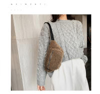 Bolsa De Pecho De Peluche Nueva Para Mujer Bolso Transversal De Otoño E Invierno Estilo Moda Bolsa De Hombro Pequeña - details 14