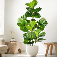 Falsa Hoja De Magnolia Y Ficus 105cm Para Decoración De Jardín Patio Interior Oficina Hoja De Figura Artificial De 41.3 Pulgadas - details 11