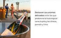 Pack 6 Anna de Codorníu 75cl + Magnum 1,5L - Cava Brut - details 4