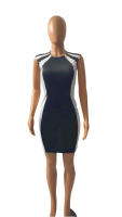Vestido Bodycon Colorblock Elegante Para Mujer Verano Moda Sin Mangas Cuello Redondo Mini Vestido Negro Casual Para Fiesta Club - details 17
