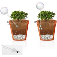 Bulbos De Rociado Automático Para Plantas Vidrio Rainbow Gradient Color Transparente Herramienta De Riego De Maceta Self Watering - details 13