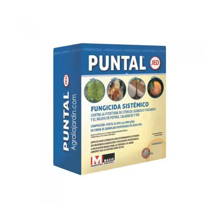 PUNTAL 45GR MASSO FUNGICIDA FOSETIL - 1