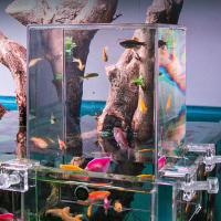 Tanque De Peces De Acrílico Transparente Con Presión Negativa Decoración Ecológica Para Escritorio Ideal Para Oficina Y Hogar - details 0