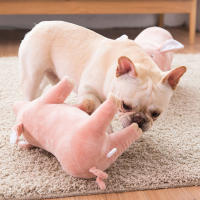 Juguete De Peluche Para Perros Y Gatos Almohadilla De Sueño Companion Mordedor De Algodón Para Pequeños Perros Bulldog Francés Divertido Juguete Para Moler Y Jugar - details 8
