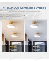 Lámpara De Techo LED Moderna En Colores Macarón Iluminación Para Nuevos Hogares Decoración Para Dormitorio Vestíbulo Pasillo Tecnología Inteligente Incluye Bombilla Fuente De Alimentación AC 220V Estilo Art Déco - details 3