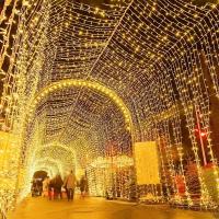 Luces De Navidad De Cadena 10m 20m Con Enchufe Guirnalda De Hadas LED Para Decoración De Hogar Árbol De Navidad Boda Fiesta - details 19