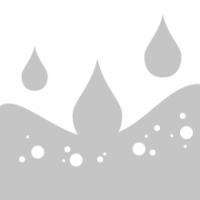 Papel Higiénico Doméstico BlancoPlata de 2 Capas, 56 Rollos de 60m, Calidad Certificada y Ecológico - details 4