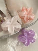 2-3pcs Clip Para El Cabello De Mujer Tamaño Grande Peso Ligero Con Patrón De Flores Y Colores Gradiente Accesorio De Moda Para El Aire Libre - details 10