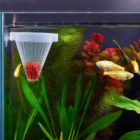 2Pcs Copo De Plástico Para Alimentación De Acuarios Transparente Para Cangrejos Y Nematodos Alimentos Vivos Para Peces - details 3