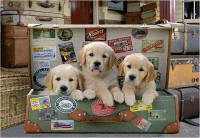 Educa - Puzzle de 500 Piezas para Adultos | Cachorros en el Equipaje. Incluye Pegamento Fix Puzzle. A Partir de 11 años - details 0
