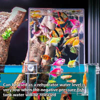 Tanque De Peces De Acrílico Transparente Con Presión Negativa Decoración Ecológica Para Escritorio Ideal Para Oficina Y Hogar - details 1