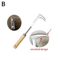 Herramienta Manual De Jardín De Acero Inoxidable Para Eliminar Malas Hierbas Con Mango De Roble Herramienta De Rama Para Jardinería Y Vivero - details 12