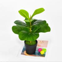 Arbusto De Ficus Artificiales Nórdicos En Maceta 35-63cm Decoración De Hogar Y Jardín Estilo Silken Tree Para Exposiciones Y Ambientes Al Aire Libre - details 9