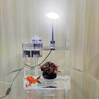 Acuario Ecológico De Acrílico Transparente Para Escritorio De Oficina Pequeño Tanque De Agua Con Hierba Para Camarones Y Tortugas - details 3
