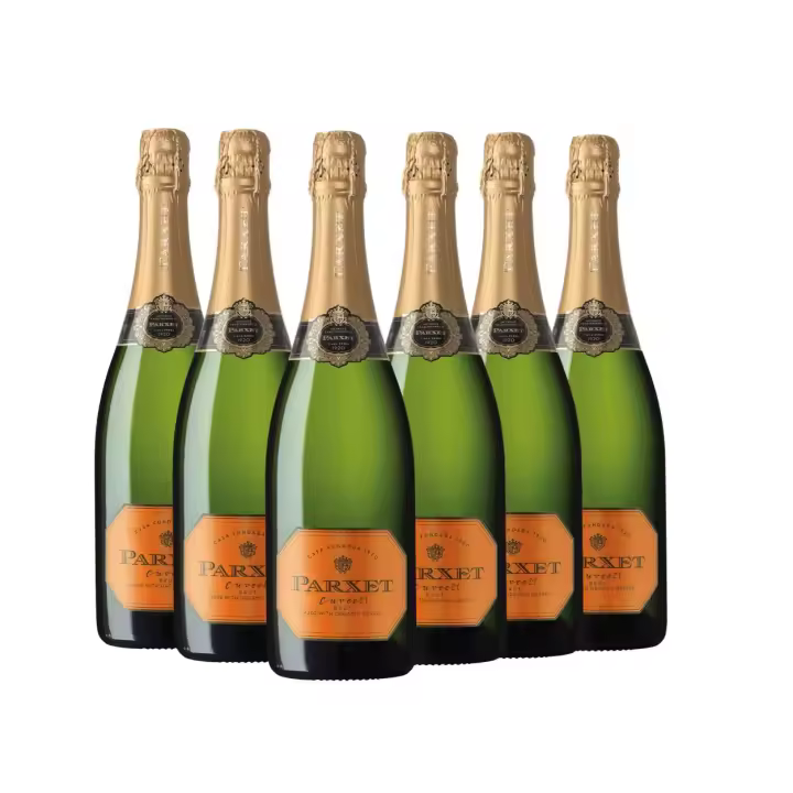 Cava Parxet Cuvée 21 Ecológico - DO Cava - 1