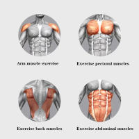 Entrenador De Músculos Abdominales Silencioso Rueda De Abdominal Equipo De Gimnasio Y Fitness Para Entrenamiento En Casa - details 4