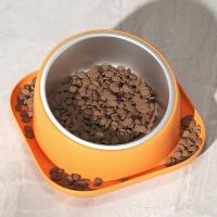 Herramienta de alimentación para mascotas, cuenco de comida para mascotas de acero inoxidable, antihormiga, alimentador de gatos con pendiente de 15 grados, cuenco de alimentación para mascotas antideslizante doble, perros y gatos - details 10